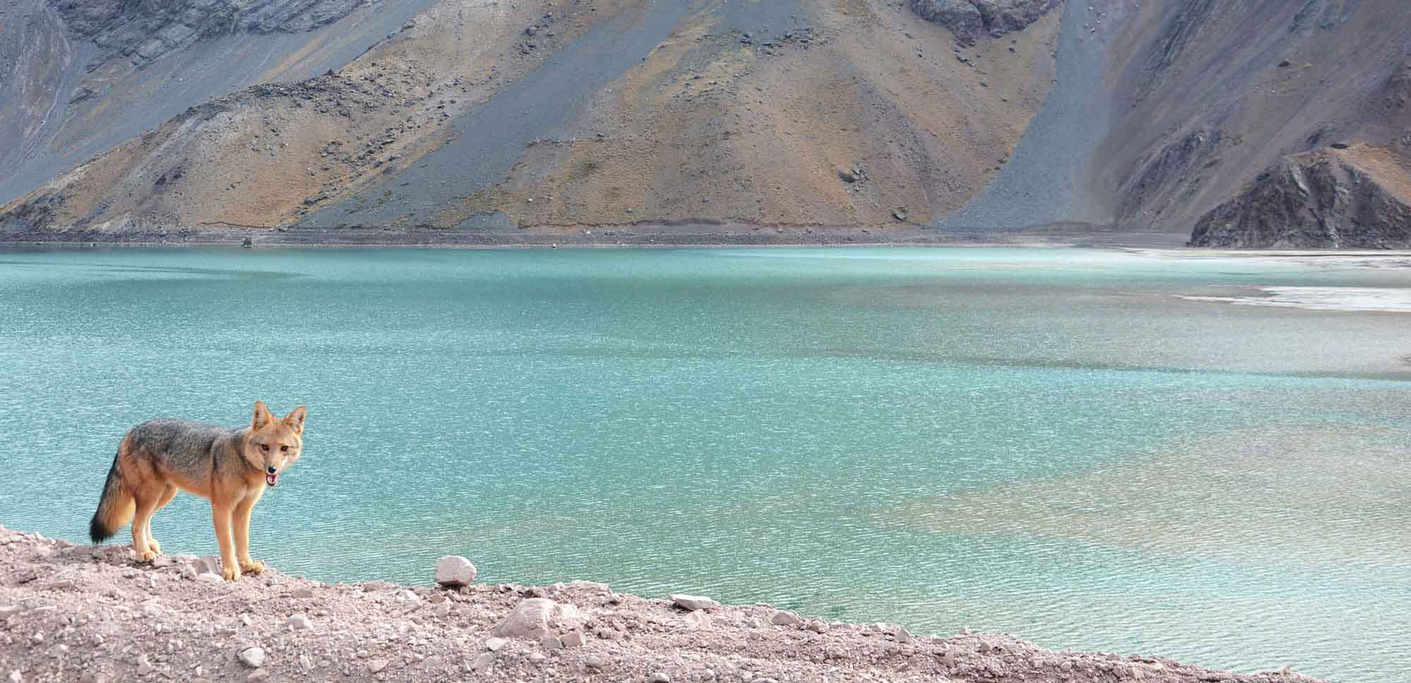 Embalse del yeso